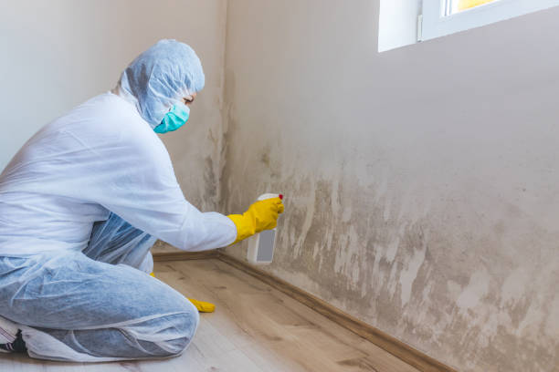 Mold Remediation specialist working in Oak Park